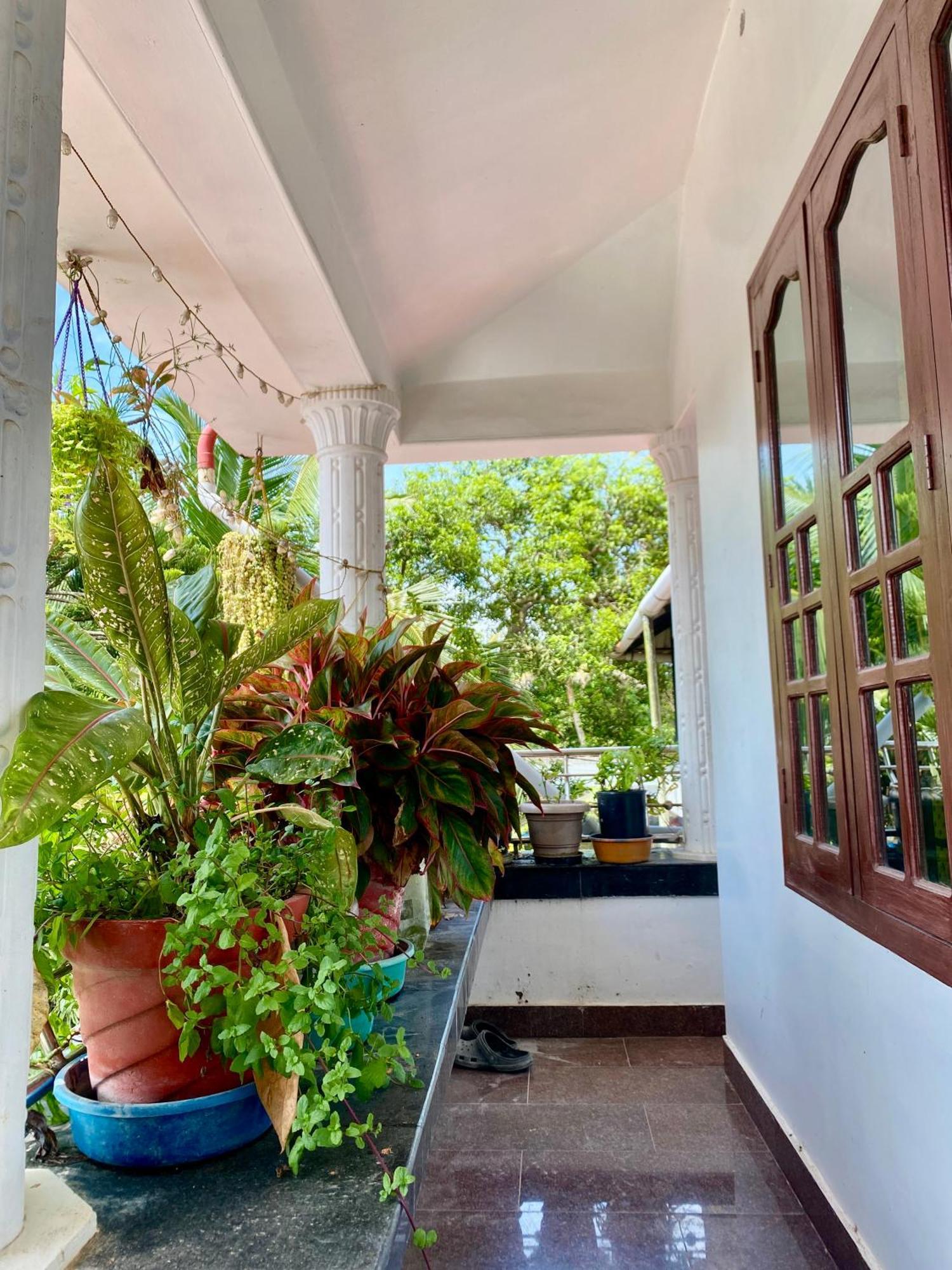 Rajatheeram Beach Homestay & Backwater Cruise Alleppey Alappuzha Exterior foto
